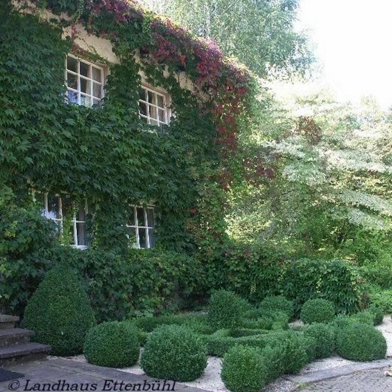 Landhaus Ettenbuehl Bed And Breakfast Bad Bellingen Extérieur photo